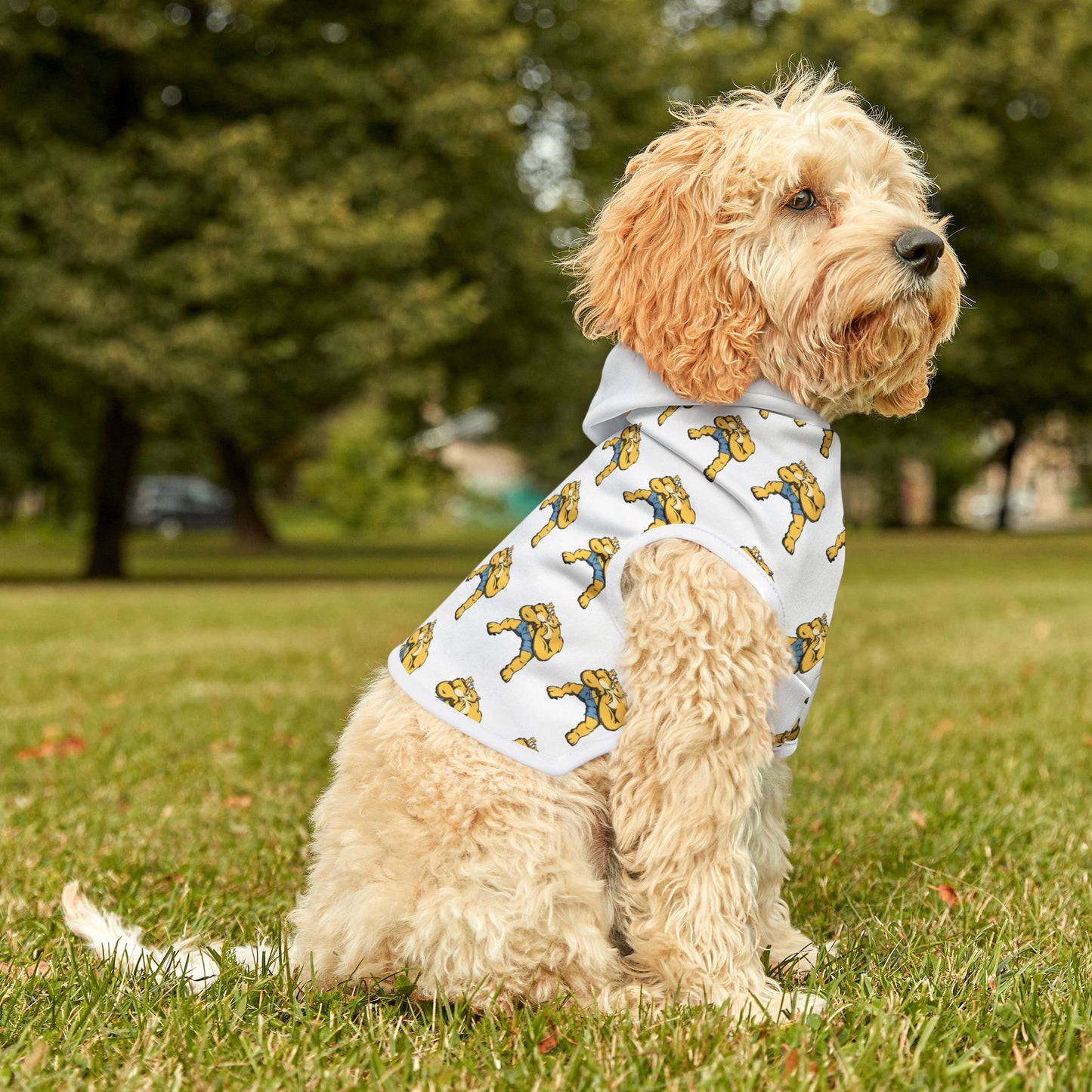 Butters Pet Hoodie