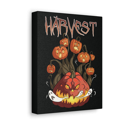 Harvest Portrait